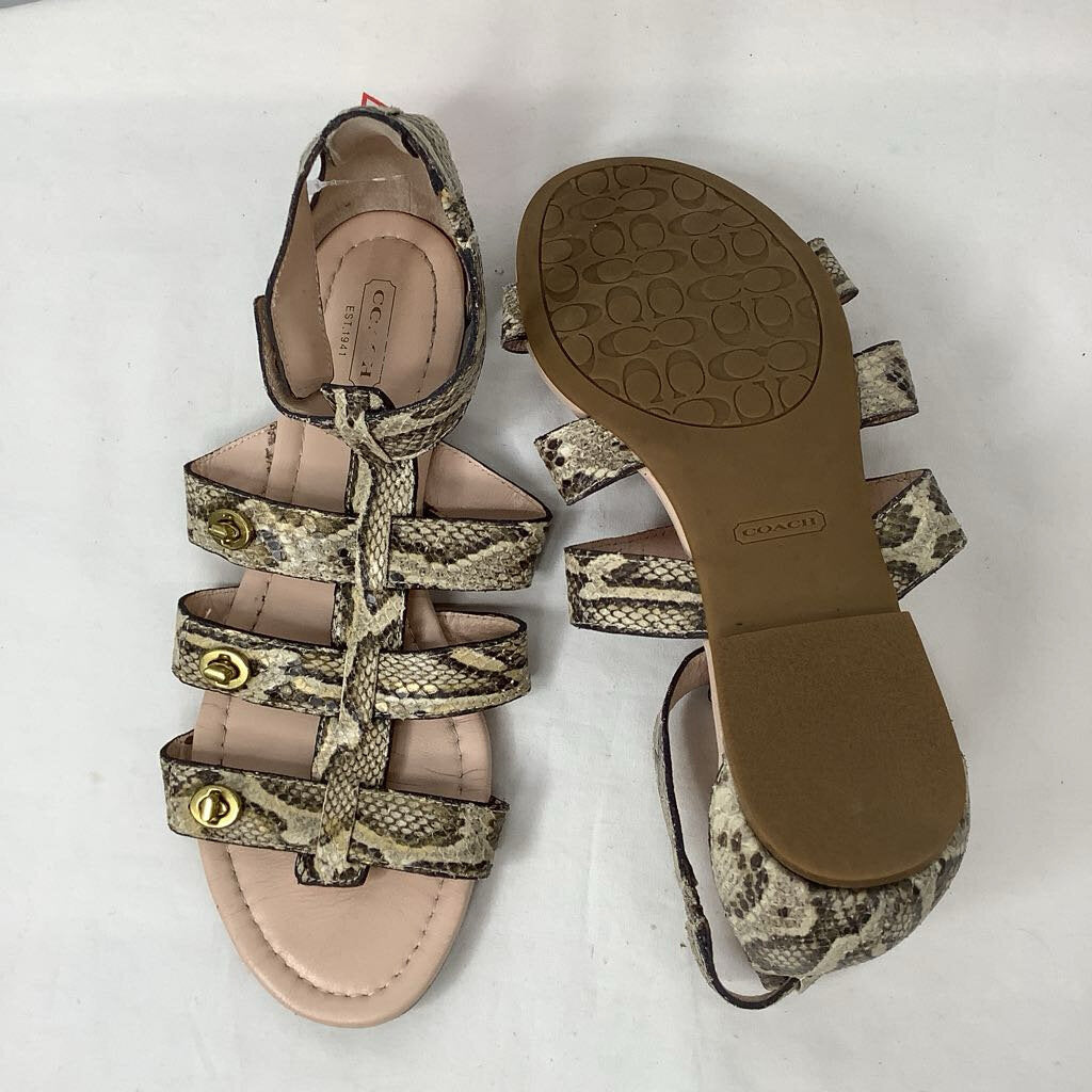 Coach Sandals 9 Snakeskin