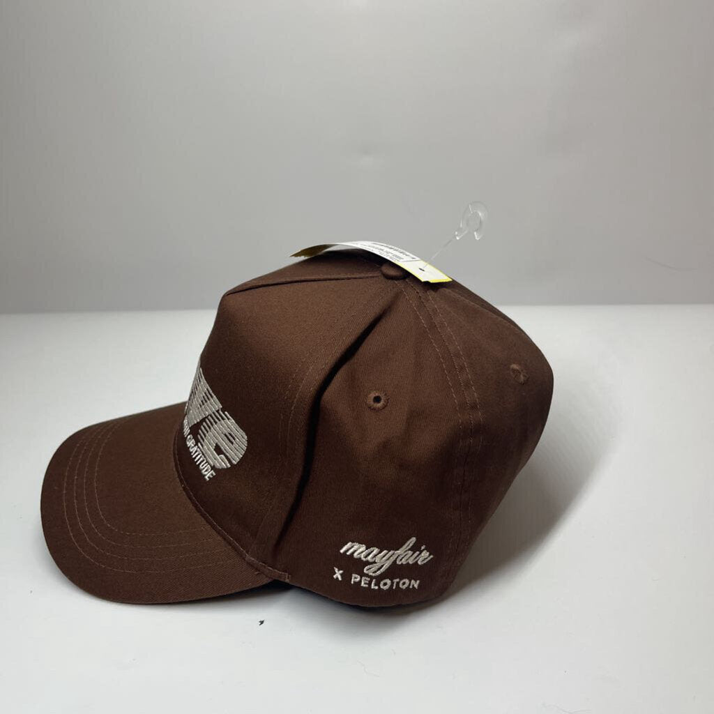 Hair Accessories Brown