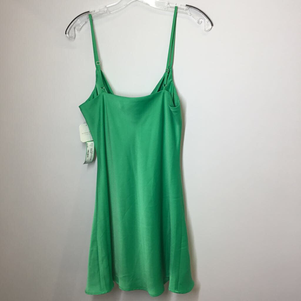 Altar'd State Dress M Green