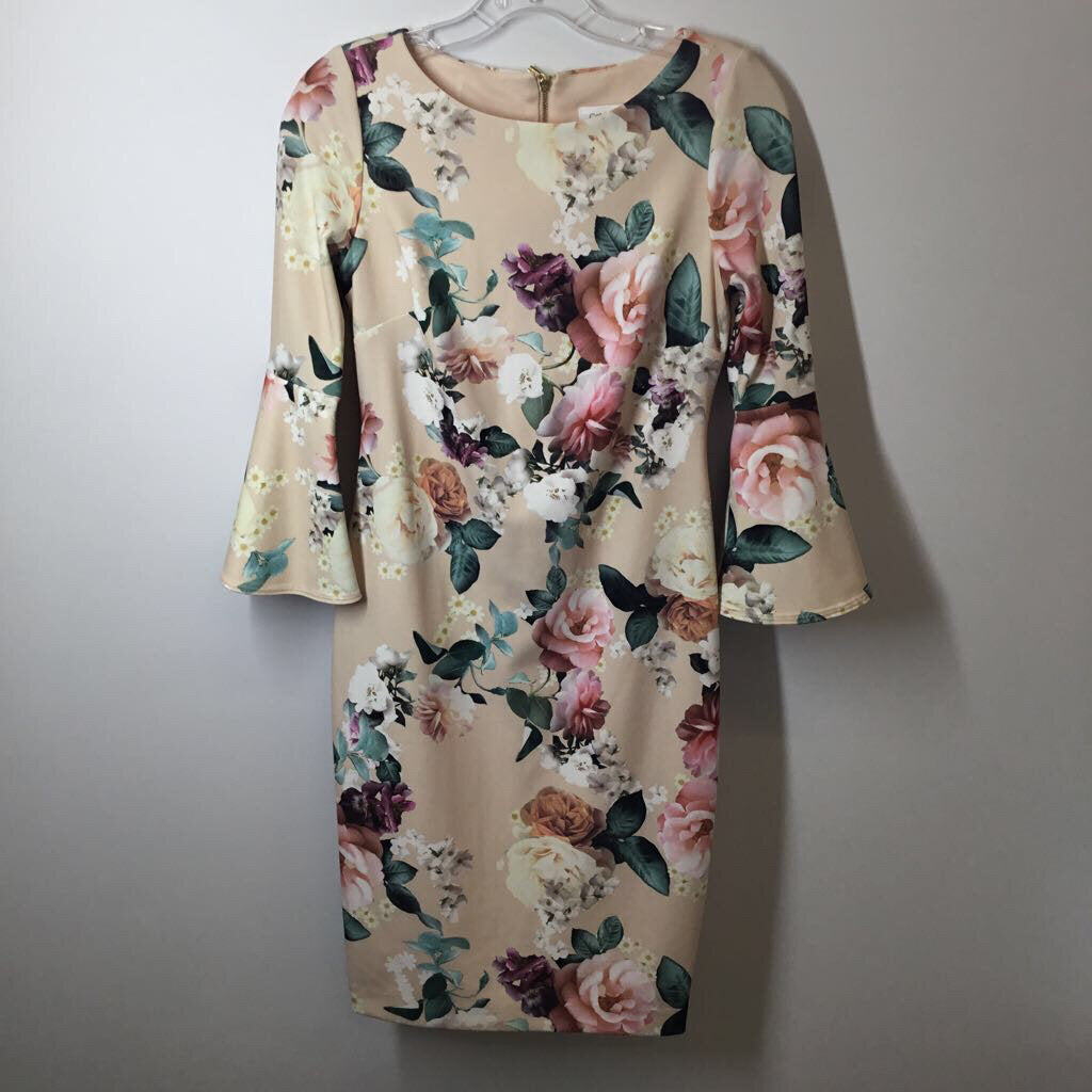 Calvin Klein Dress 2/XS Blush/Floral