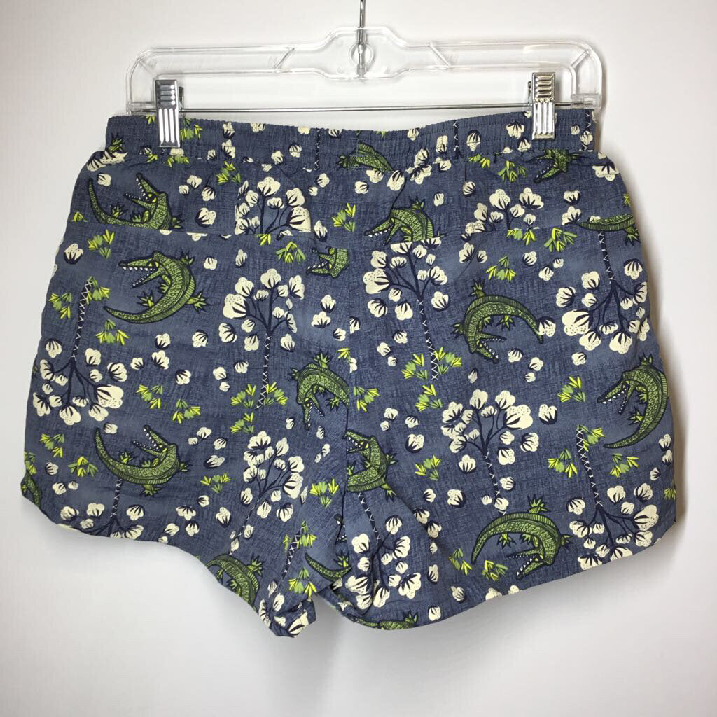 Patagonia Shorts Men's M Blue/Green