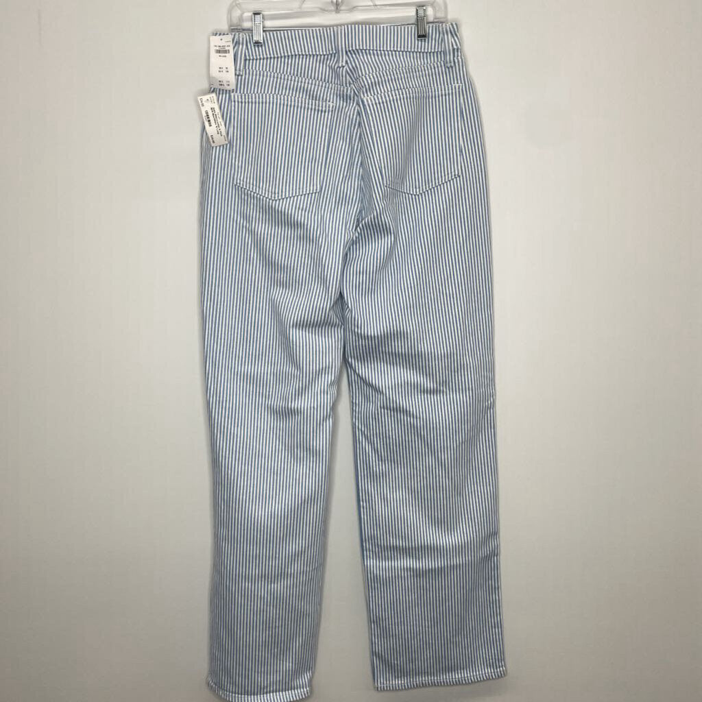 Abercrombie & Fitch Jeans 10 Long Blue/White