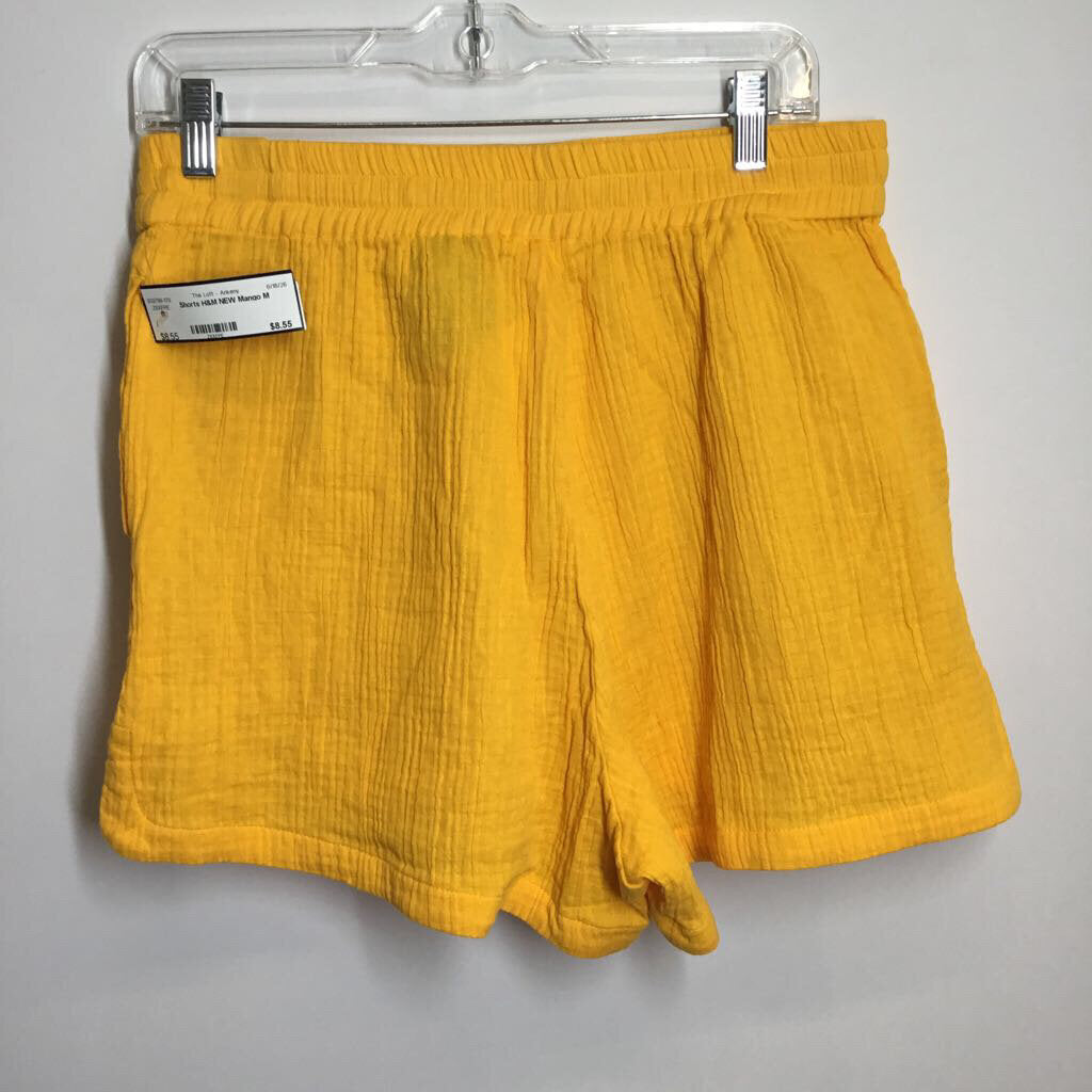 H&M Shorts M Mango