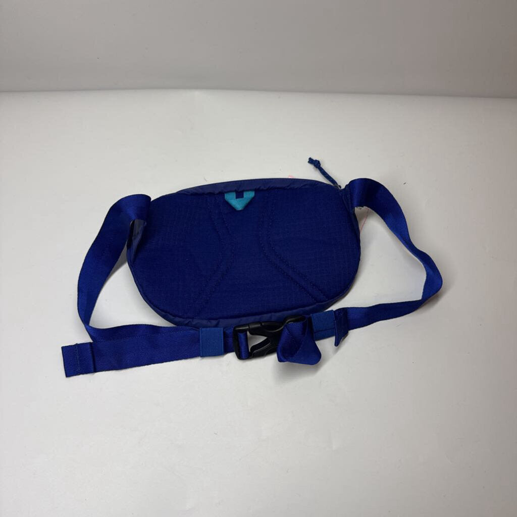 Patagonia Purses Blue