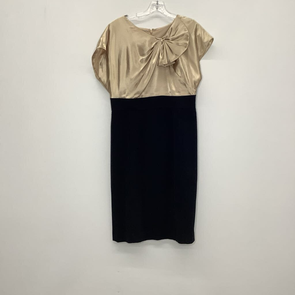 Jones Wear Dress Dress M/10 Champagne/Black