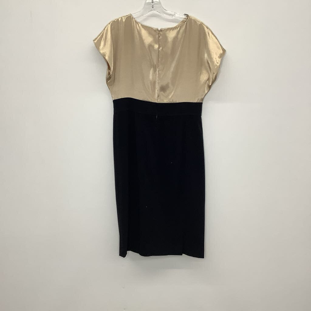 Jones Wear Dress Dress M/10 Champagne/Black