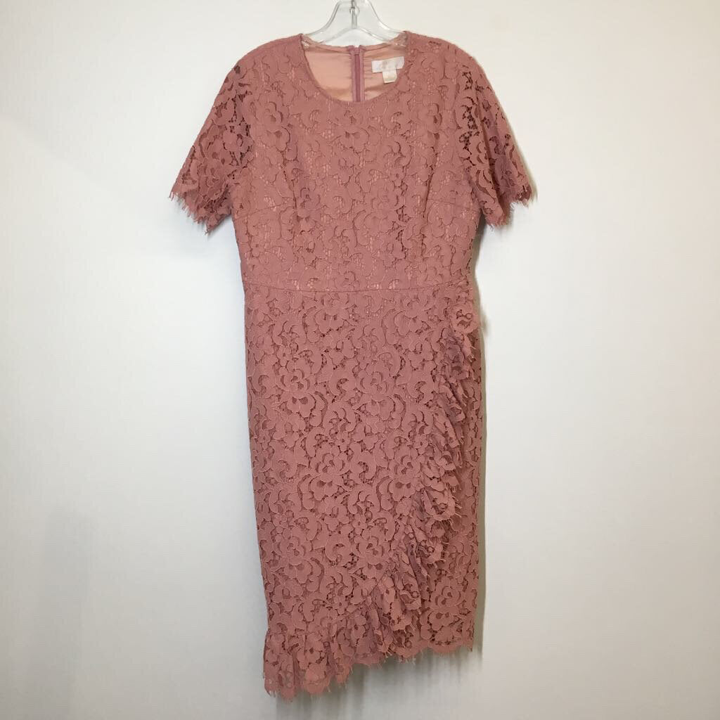 Dress L Pink Lace