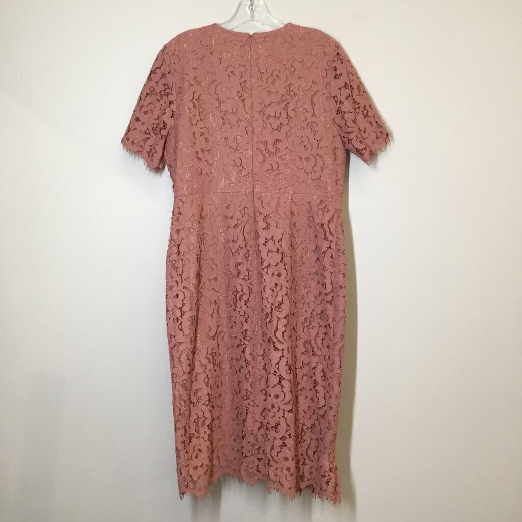 Dress L Pink Lace