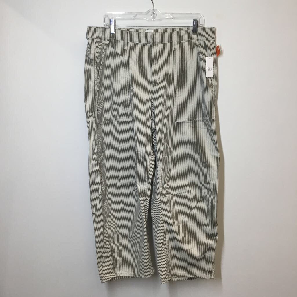 Gap Pants 14 Petite Navy/Cream