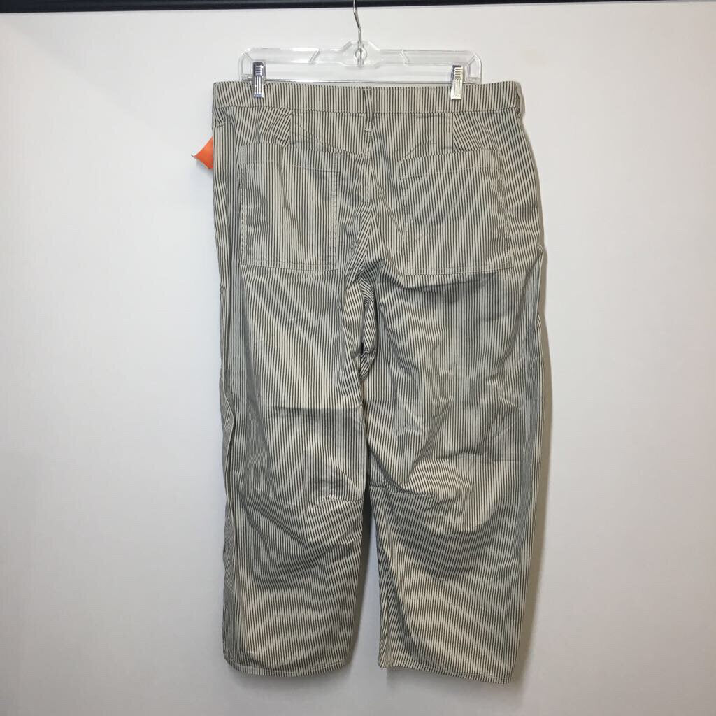 Gap Pants 14 Petite Navy/Cream
